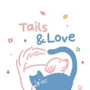 갤러리캣 이미지