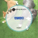 올림픽공원 인조잔디축구장 | 반려동물을 위한 베란다 셀프 인조잔디시공 미도플러스 후기