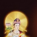 보현땅콩