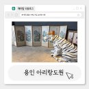 도원농장 | <용인> 용인 카페 아기랑 가기좋은 아리랑도원 용인 카페, 대형카페,베이커리카페