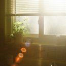 몸그리다 이미지