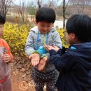 성정유치원 이미지