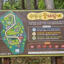 수정산 꿈자람터 이미지