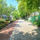 덕현초 앞 이미지