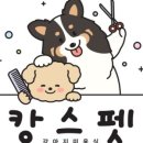 캉스펫