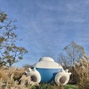 스포츠파크(좌) | 제주 가볼만한곳 액티비티 9.81 후기 가격 총정리