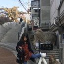 동양닭집 이미지
