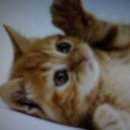 만수5동-9 이미지