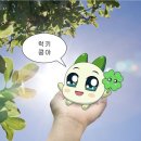 오뎅바오늘 이미지
