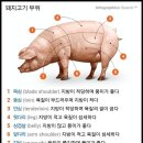 캠핑원 - 성북구 | [공지] 군산정육점,군산캠핑고기,군산정육점세일,소고기추천,돼지고기추천,가격비교,고기무료증정하는...