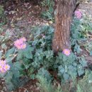 하계역 3번출구 이미지