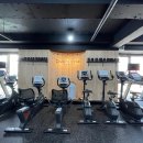 케렌시아 피트니스 이미지