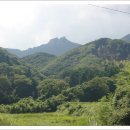 ◈ 대마도(對馬島/津島, つしま:쓰시마) 시라타케야마(白嶽山:519m)·아리아케야마(有名山:558m) 산행(2) ◈ 이미지