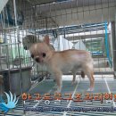 문정2동주민센터 이미지