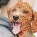 율하우리동물약국 이미지