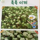 (주)펌앤팝