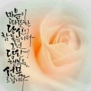 행복한잔치국수 이미지