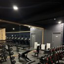 비비휘트니스 이미지