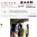 선향 이미지