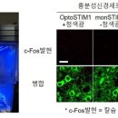 머리공간 - 성동구 | 머리공간