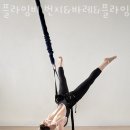 플라잉비