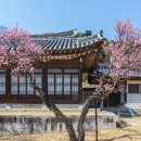 장군의땅 이미지