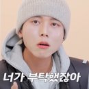 법인최강
