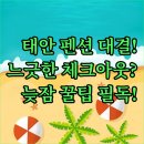 오션이니스프리 | 태안 펜션 오션이니스프리 대 바다너머 펜션 느긋한 체크아웃 시간 누가 이길까
