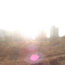 청옥초등학교 이미지