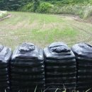 종성농장 이미지