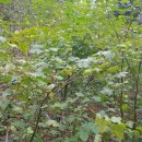 광재농장 이미지