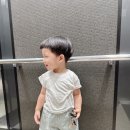 보그헤어 양주회천