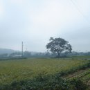 너머마을민박 이미지