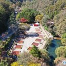 성수산 왕의숲 국민여가캠핑장 이미지