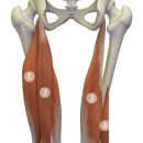 바른정형외과의원 이미지