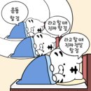 로로필라테스 - 성주군 성주순환로1길 8-38 | [다사필라테스/대실역필라테스] 다사 로로필라테스 선착순 30명 조기마감❤️회원님 실제 후기