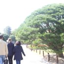 무주시장 이미지