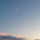 이현종합상가 | 제5화-5 조선초기 노비의 여주인 강간 사건
