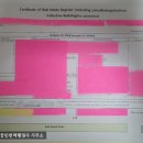 다담공인번역행정사사무소 이미지