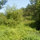 양강면사무소 이미지