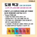 인천영종소마