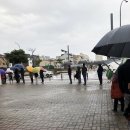 삼화사랑약국 이미지