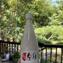 홍가네송어회 | [단양 2박3일 여행] 2일차 소백산 등산, 홍가네 송어회, 이끼 베이커리 (+ 단양 이끼터널, 수양개빛터널...