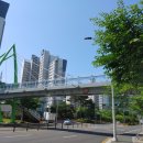 구봉산북로 이미지