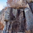 수림마을진입로 이미지