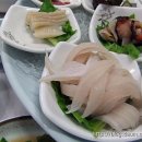 보물섬횟집 이미지