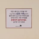 유자네 댕댕이 이미지