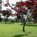 장이익어가는마을 이미지