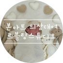 (주)아트랩일 | 신생아 본아트(뉴본) 조리원 셀프 촬영 | 르블랑스튜디오 의상 소품 대여 후기