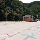 편백산림욕장 진입로 이미지